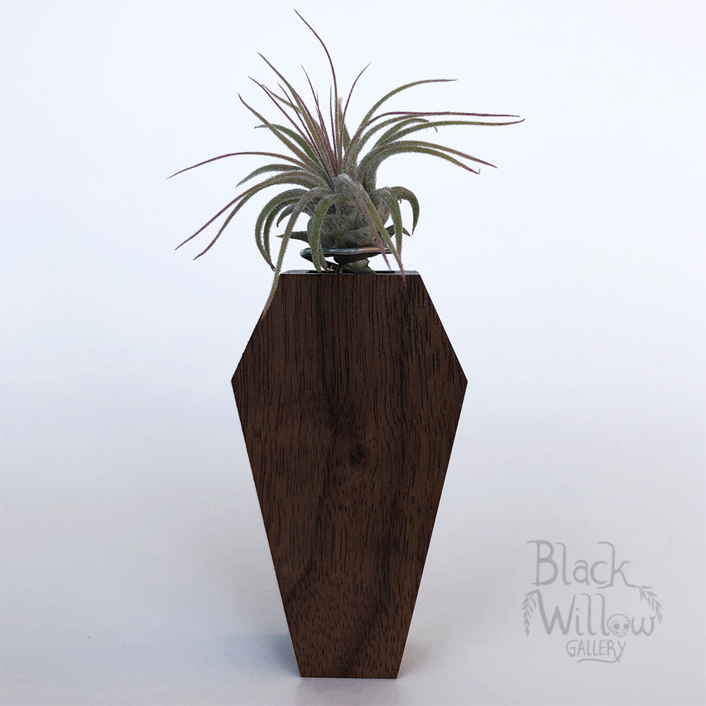 Black Walnut Coffin Planter