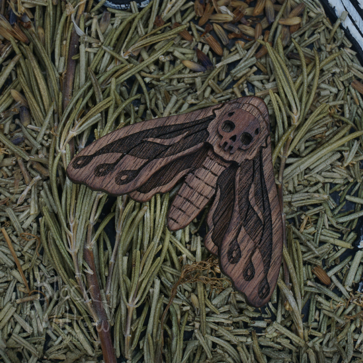 Wooden death's-head hawkmoth pin on a bed of dried plants
