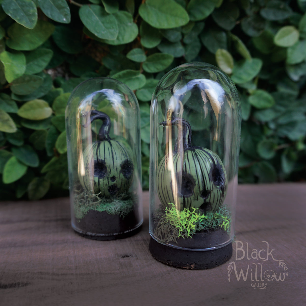 Screaming Pumpkins Mini Terrarium