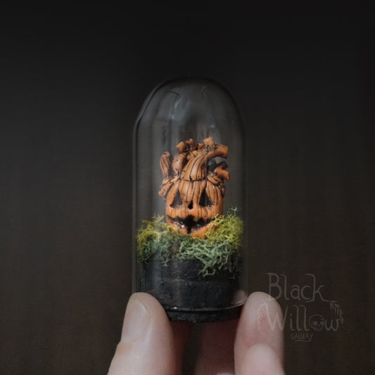 Mini Pumpkin Heart Terrarium Dome